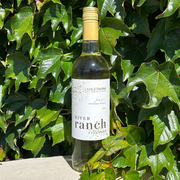 2025 Picpoul Blanc - River Ranch Vineyard