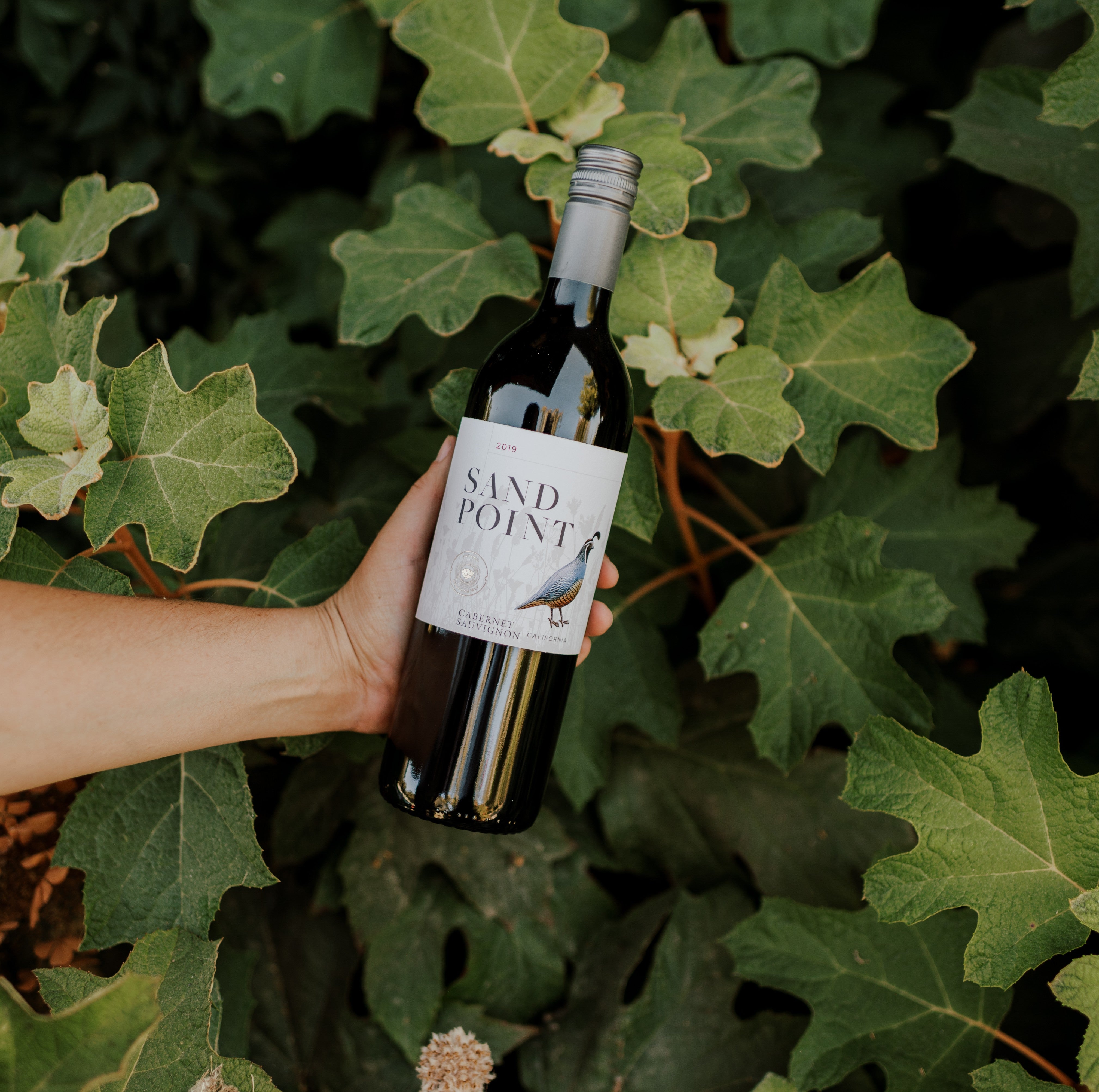 WineHubProductImage-132