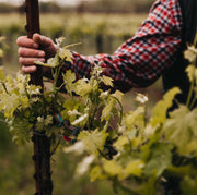 WineHubProductImage-201