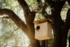A Bird House